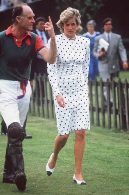 Princess Diana, Picture Courtesy The Celebrity City