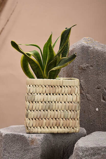 24 Plant Accessories To Perk Up Your Indoor Garden Grazia India