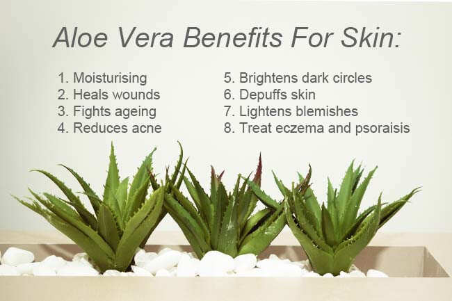 aloe vera skincare