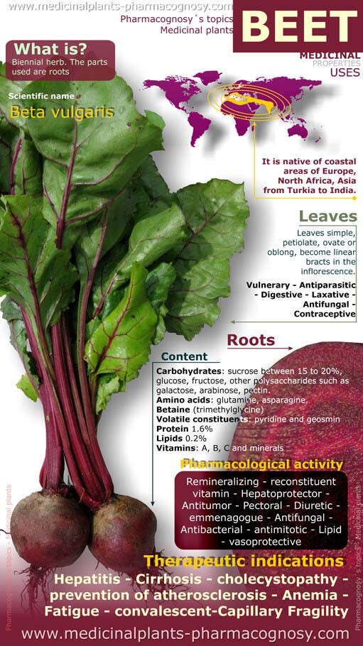 Nutritional value 2024 of beetroot