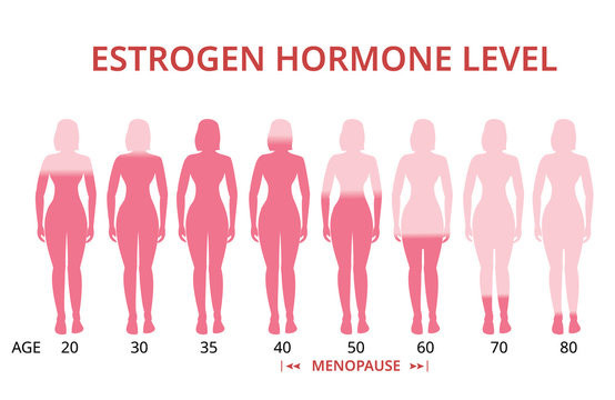 Hormone Levels also affect the Belly Fat.