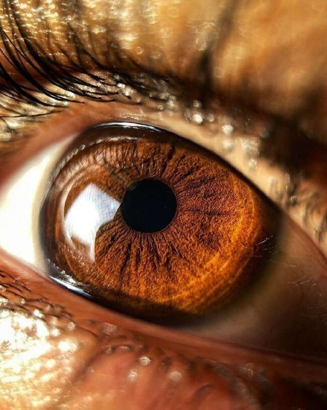 A Guide To Great Eye Health | Grazia India