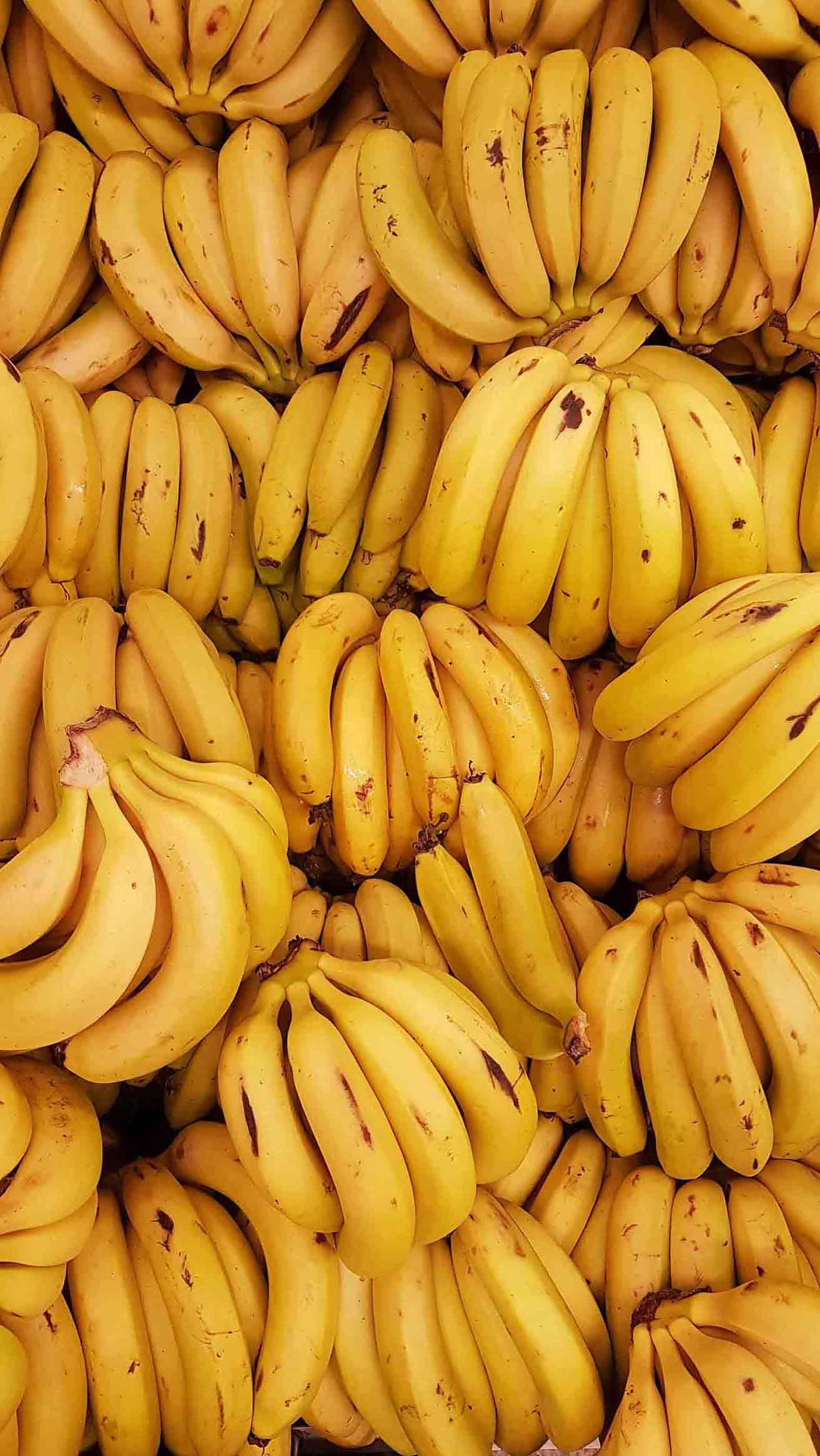 All you Need To Know About Bananas