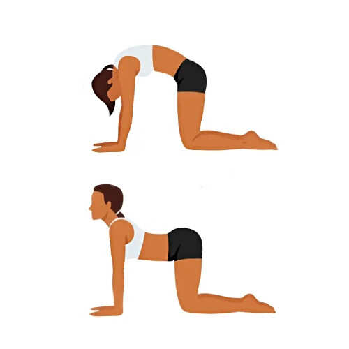 Lower Back Stretches